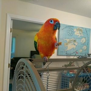 Meet your Posher, Gloria